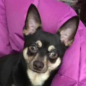 Meet your Posher, Kendra